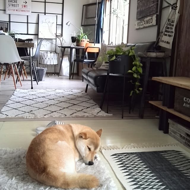 kさんの実例写真