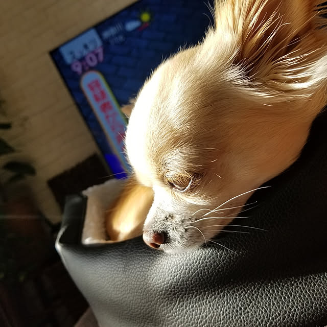 mocamamaさんの実例写真