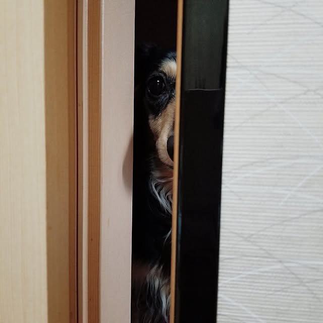 momozouさんの実例写真