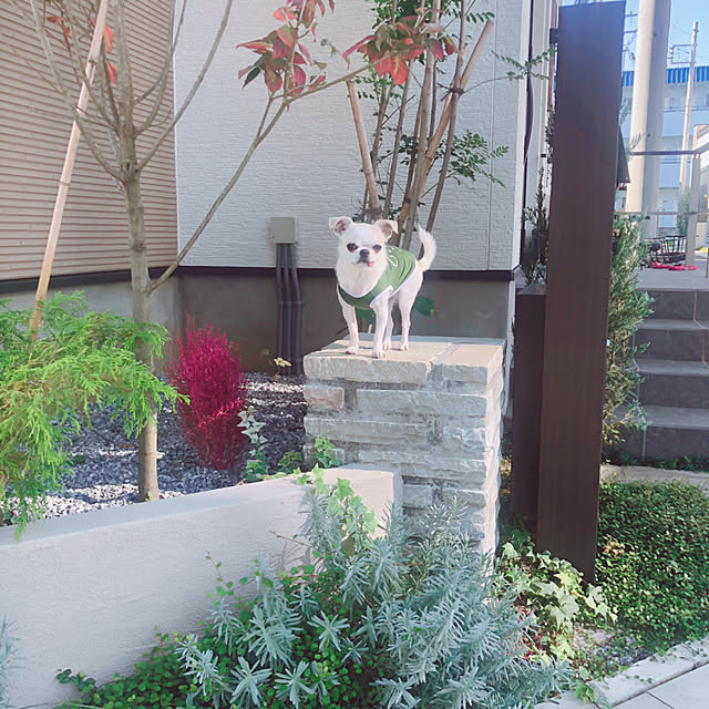 Emiさんの実例写真