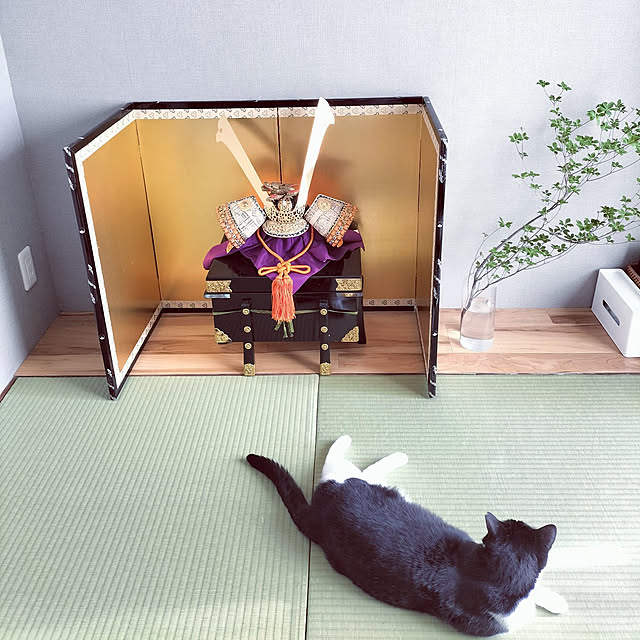 hihaさんの実例写真