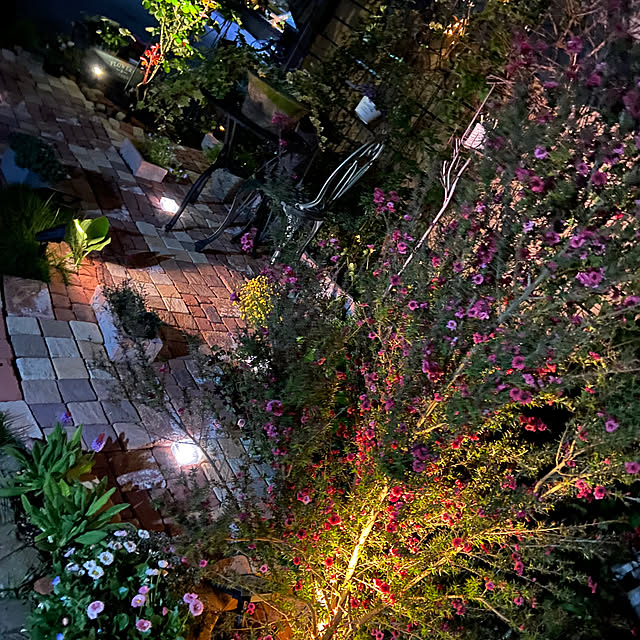 glassflowerさんの実例写真