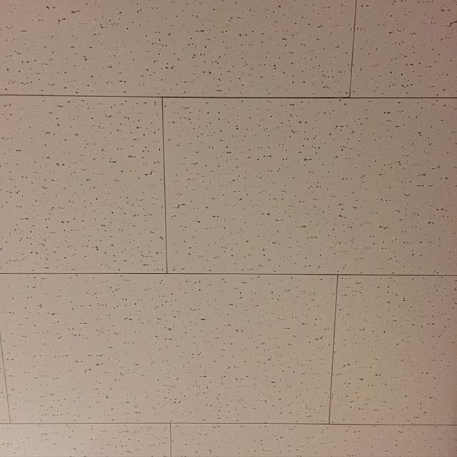 hirohirohiroさんの実例写真