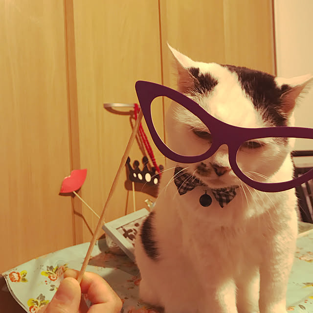 Satokoさんの実例写真