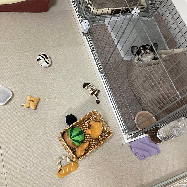koroさんの実例写真