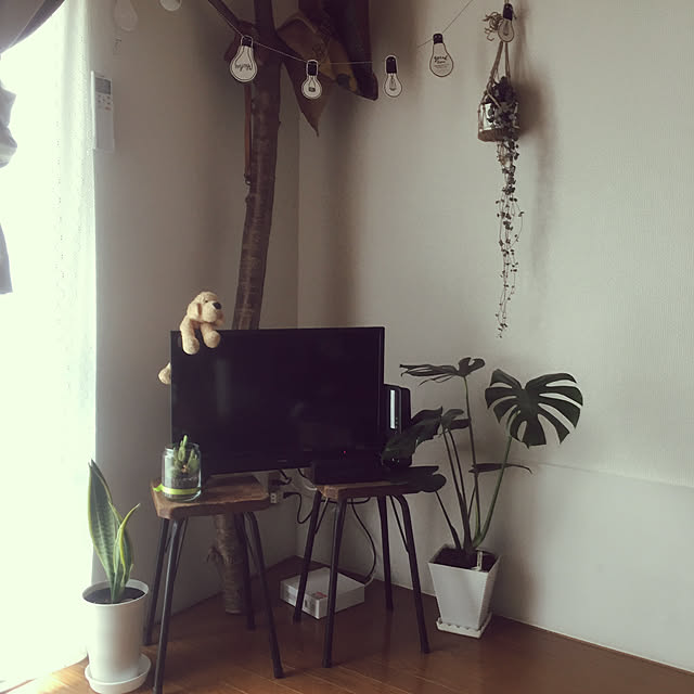 siratamaさんの実例写真