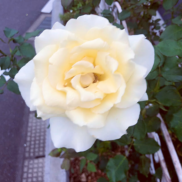 tomoさんの部屋