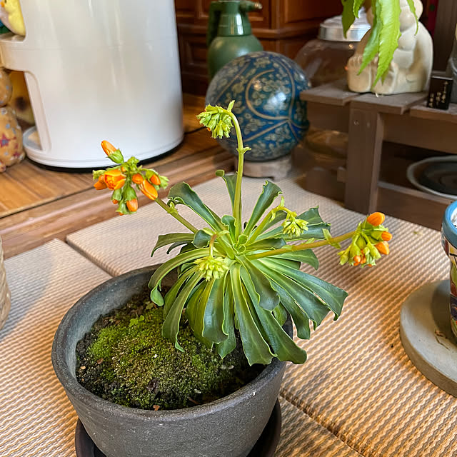 shin0719さんの部屋