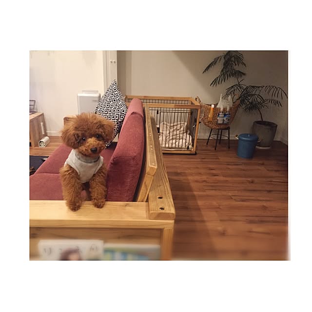 chihooo.sさんの実例写真