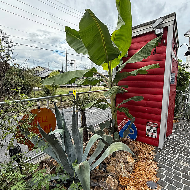 ngc6093さんの実例写真