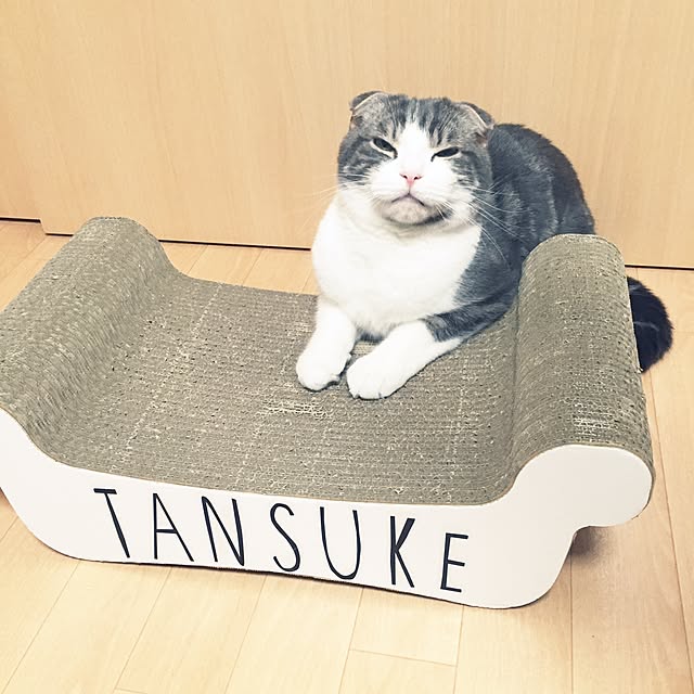 tansukeさんの実例写真