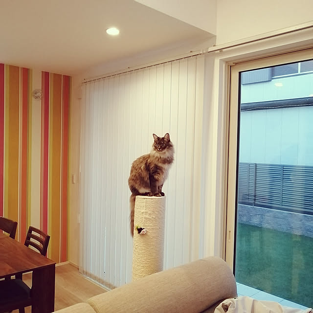 asukaさんの実例写真