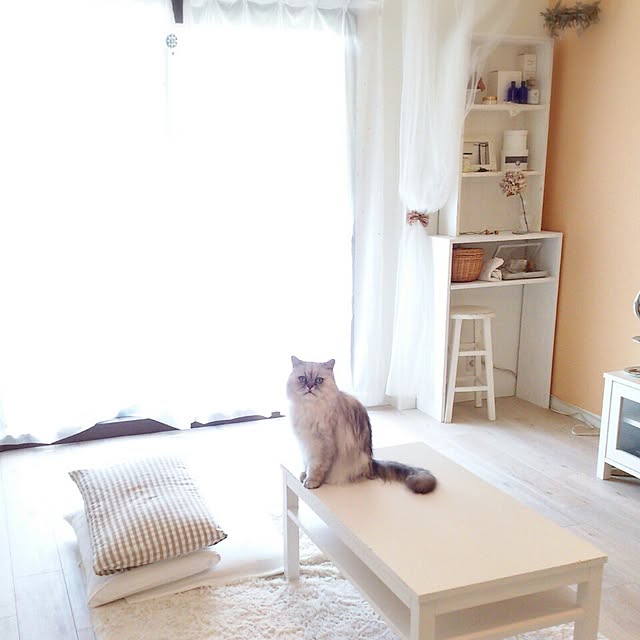 marikoさんの実例写真