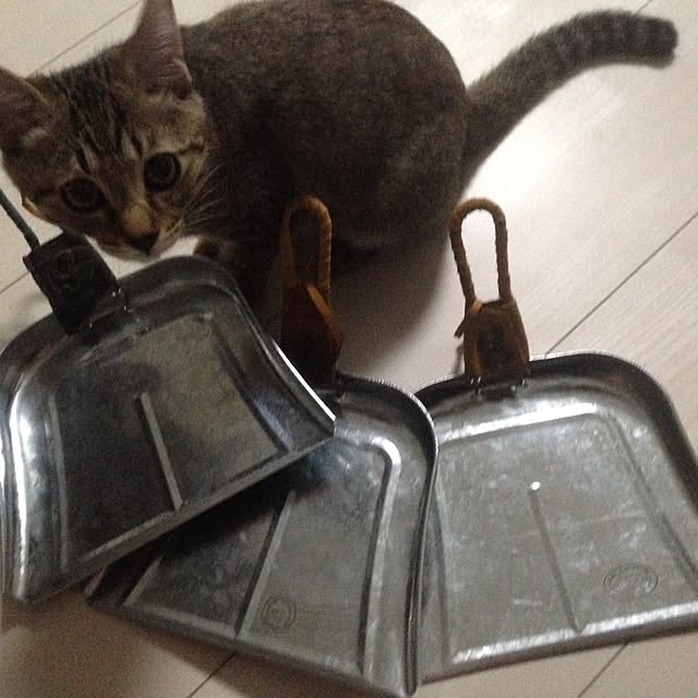 harumeniさんの実例写真