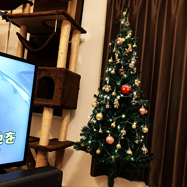 Qualle.さんの実例写真