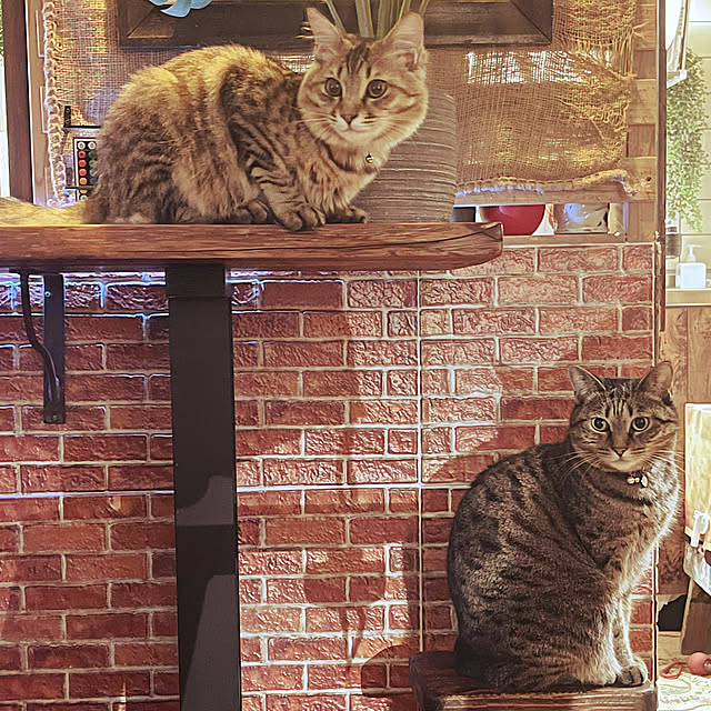 Mさんの実例写真