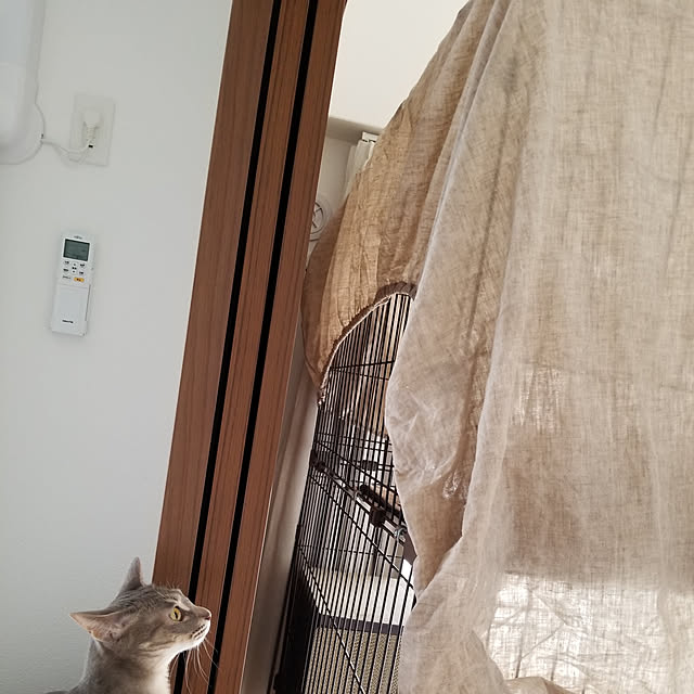 yukiさんの実例写真