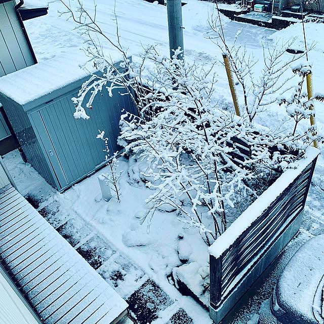 tamabaka1971さんの実例写真