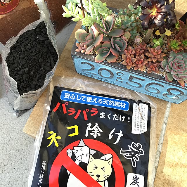 bon-bon-hippieさんの実例写真