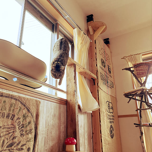 Mさんの実例写真