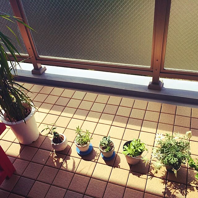 SLAさんの実例写真
