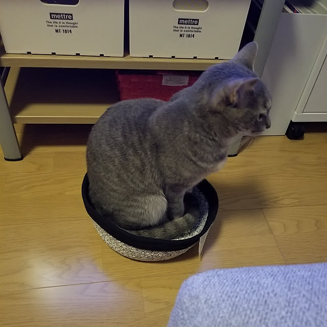 yukiさんの実例写真