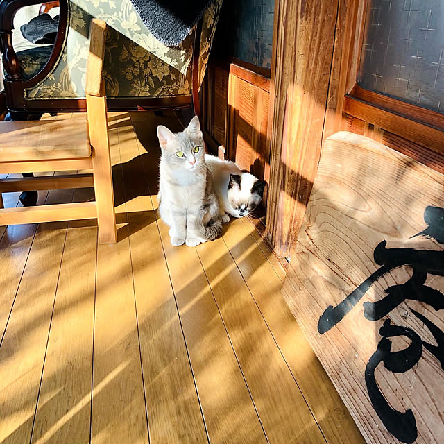 Oreoさんの実例写真
