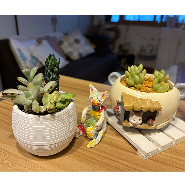 CoCo0617さんの部屋