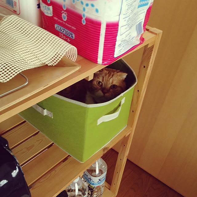 pikkariさんの実例写真