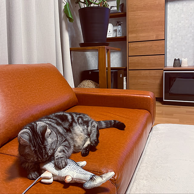 hiyupan88さんの実例写真