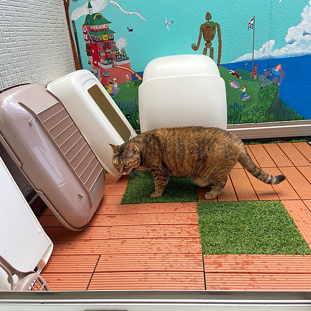 hansho.sさんの実例写真