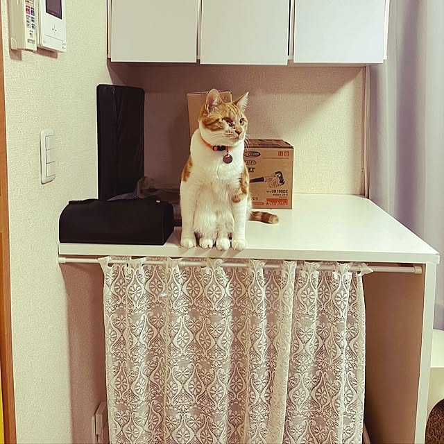 noguriさんの部屋