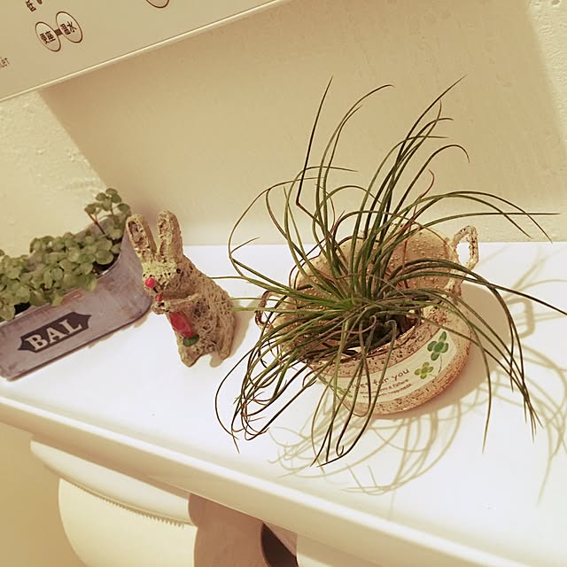 バス/トイレ/セリア/100均/観葉植物/リメ缶...などのインテリア実例 - 2016-06-12 23:52:52
