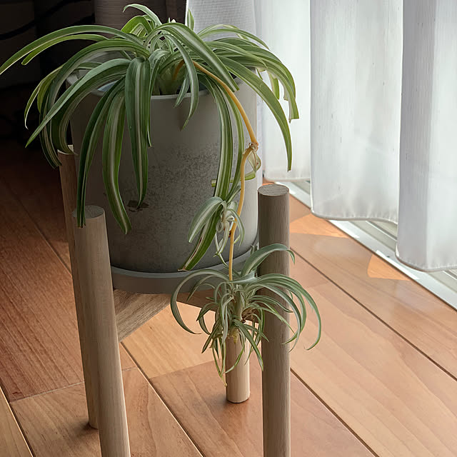 h_home.hさんの実例写真