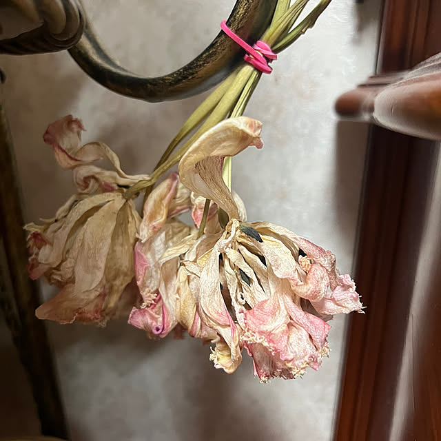 AYUKOさんの部屋