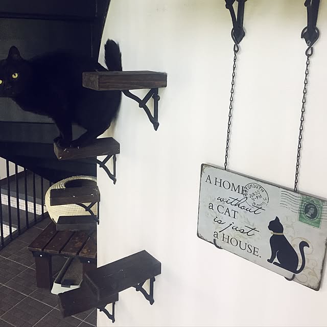 RioSayoさんの実例写真