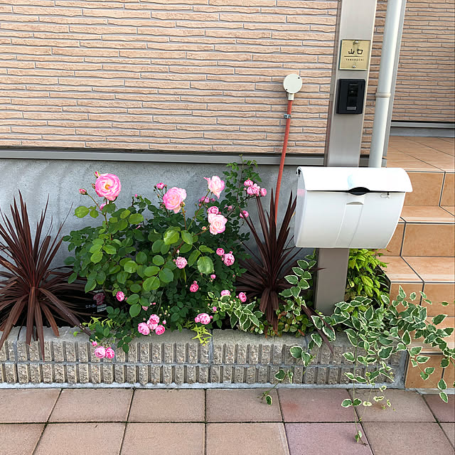 hatsumamaさんの実例写真