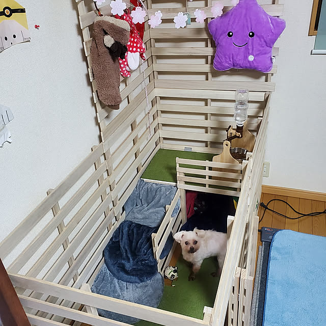 sinさんの実例写真