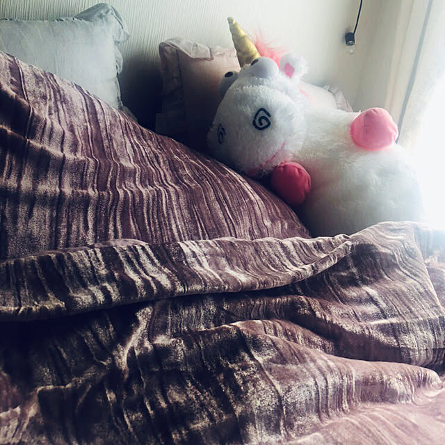 Ruiさんの実例写真
