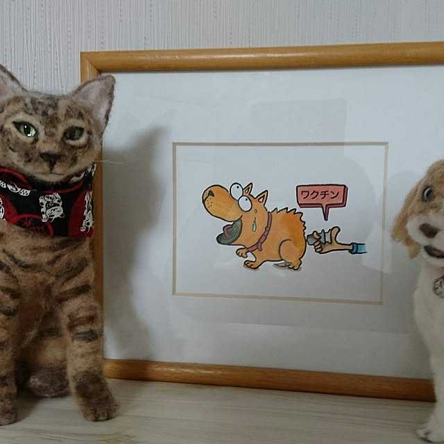 実例写真