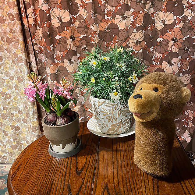 shin0719さんの実例写真