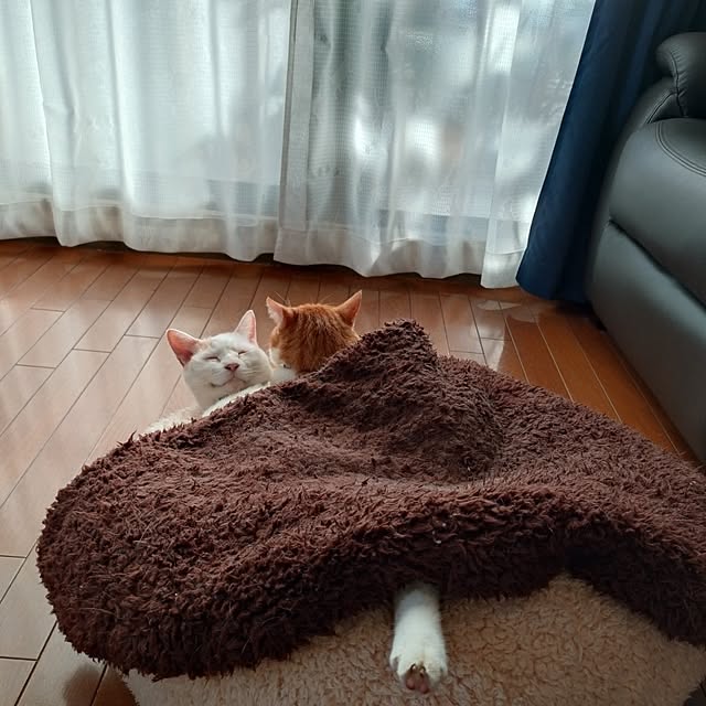 NOAHさんの部屋