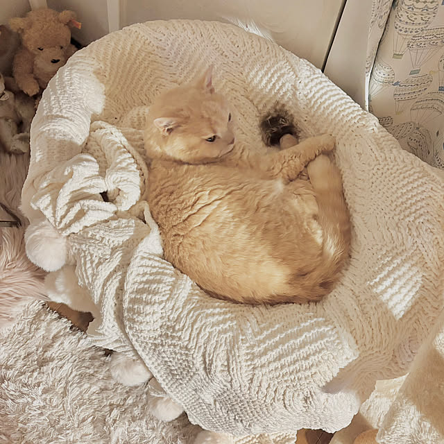 naokoさんの実例写真