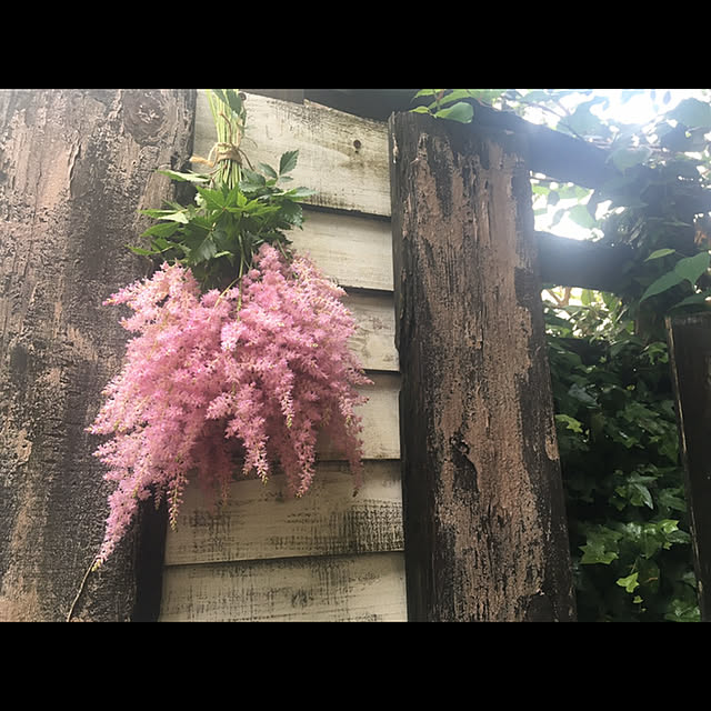 marusanさんの実例写真
