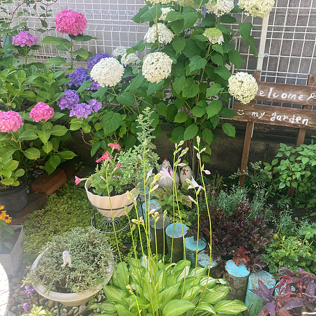 CoCo0617さんの部屋