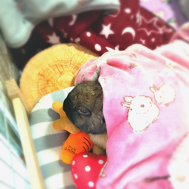 mariaさんの実例写真
