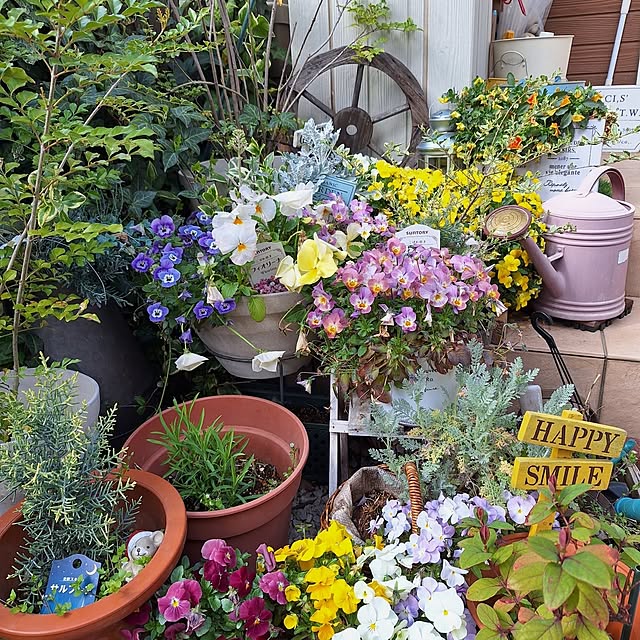 Blancheさんの実例写真