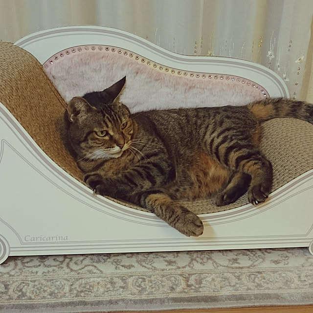 lilyさんの実例写真