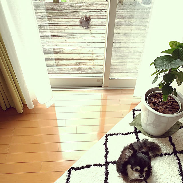 HAPPYさんの実例写真