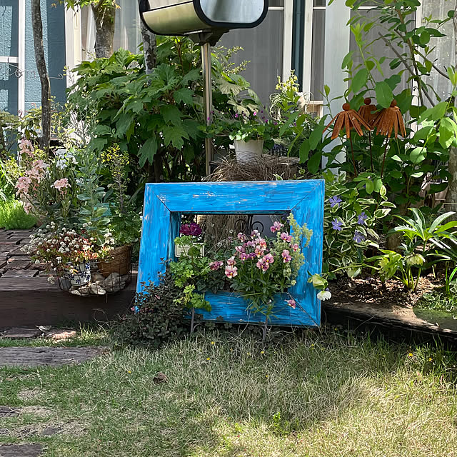 nobikoさんのお部屋の写真